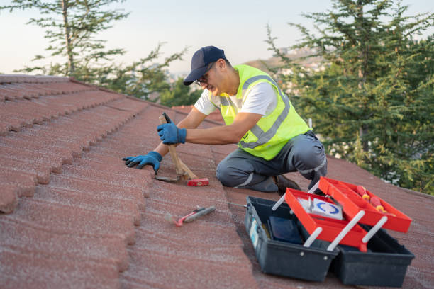 Best Metal Roofing Contractor  in Somerset, WI